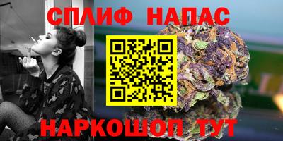 ECSTASY Аргун