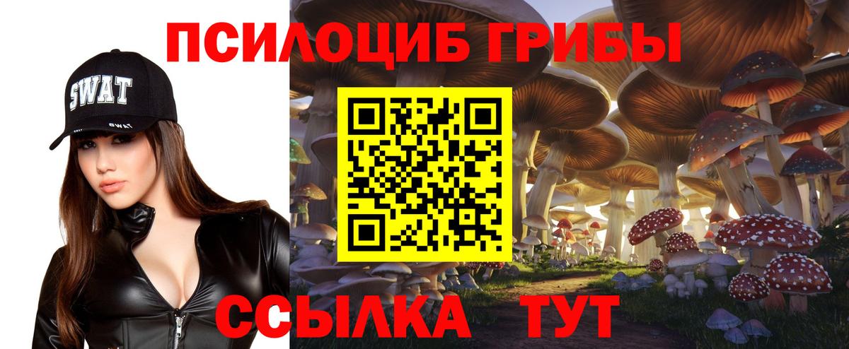 Галлюциногенные грибы Cubensis Воркута